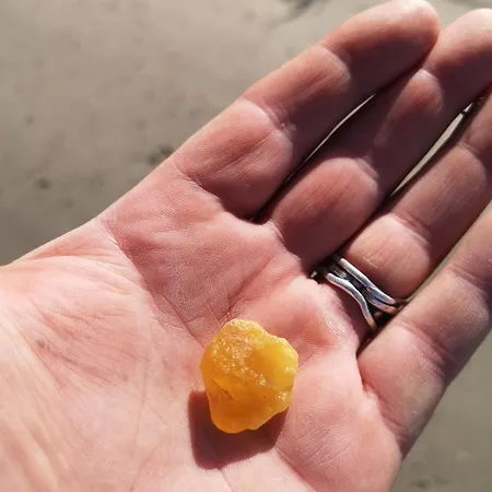 Klintgarden Martofte