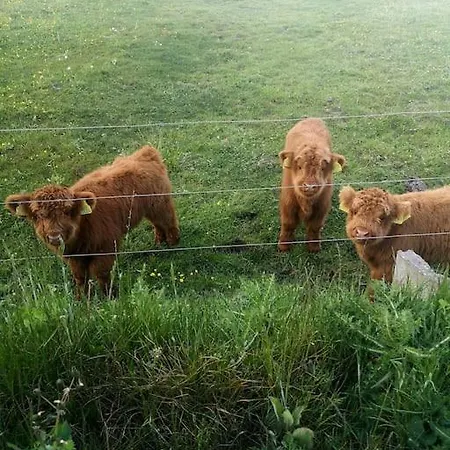 Klintgarden דירה Martofte