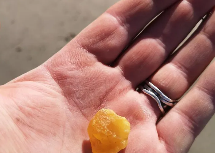 Klintgarden Martofte